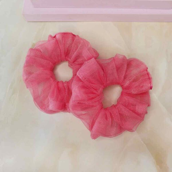 Pinkberry net scrunchies pack of 2